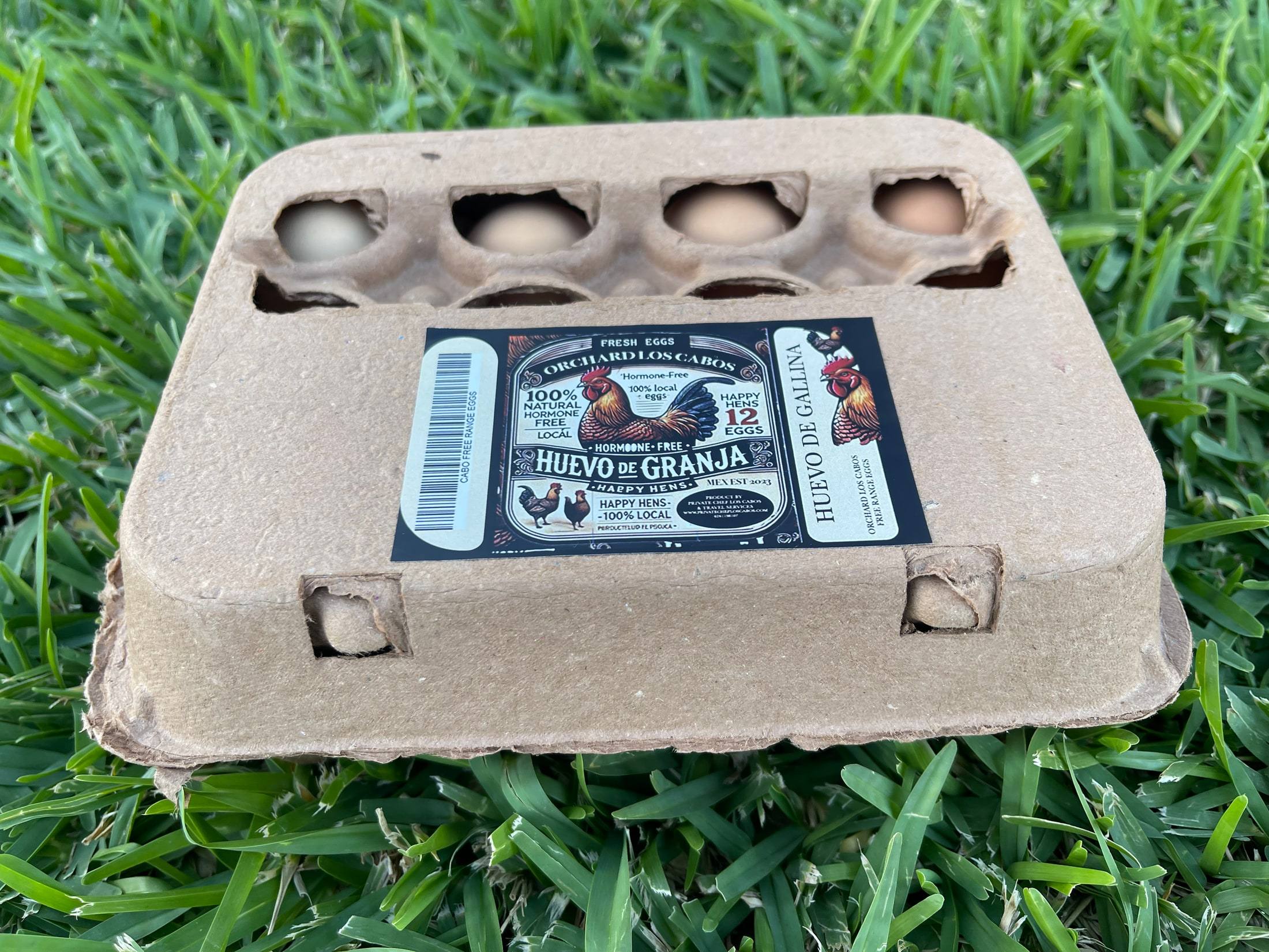 A carton of Orchard eggs with the farm's label, resting on the grass at the farm.