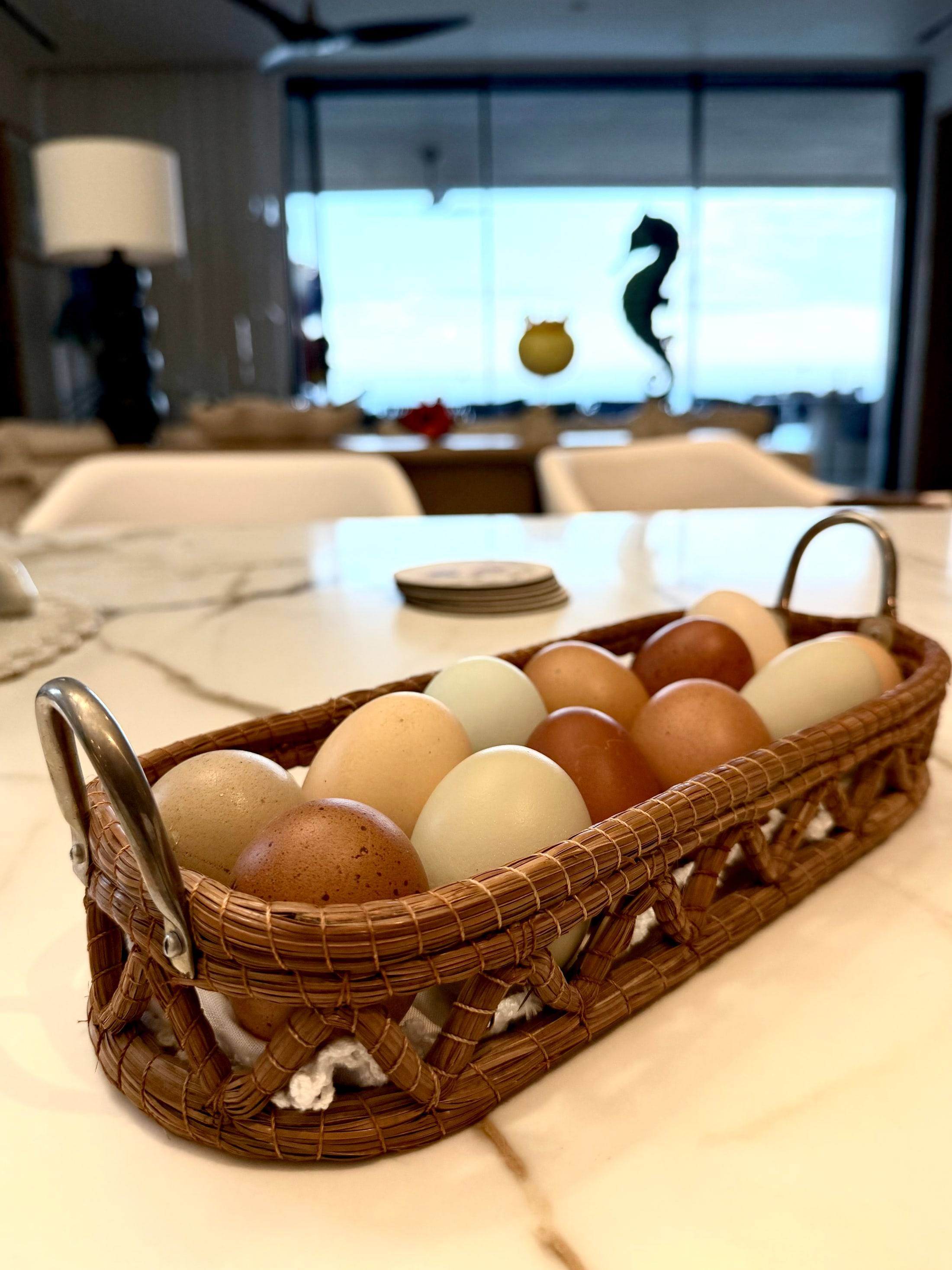 A woven basket of Orchard eggs on a marble counter in a Los Cabos villa.